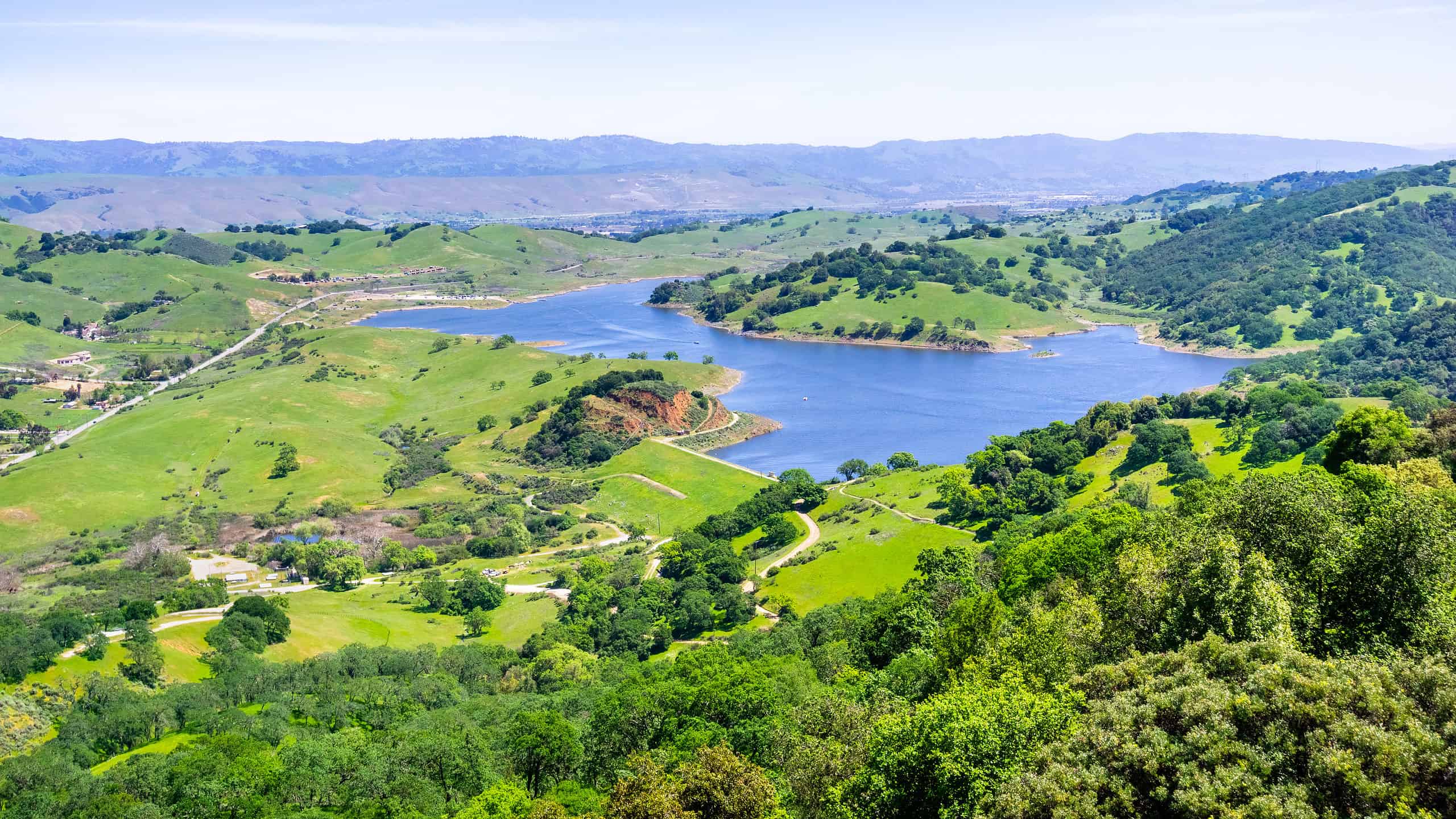 Allergie a San Jose: tutto da sapere