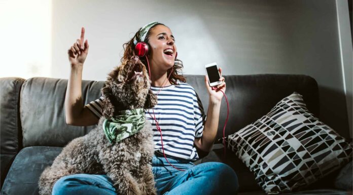 Le 10 migliori canzoni sugli animali
