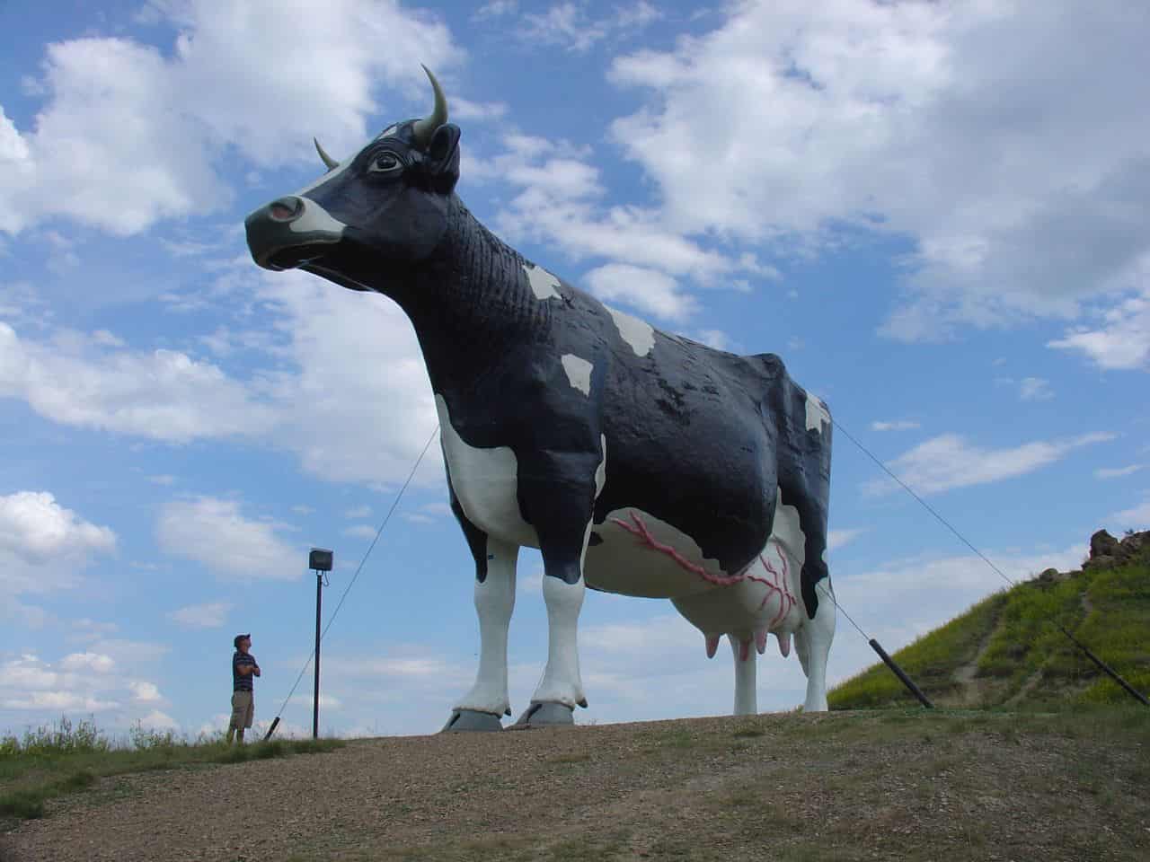 La statua della mucca più grande del mondo è uno spettacolo da vedere