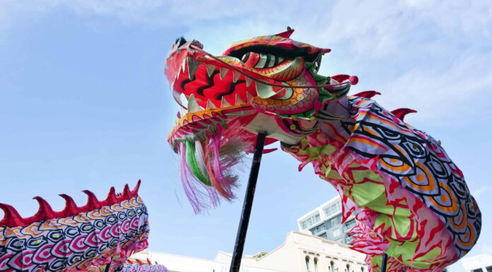 Anno del drago: significato e anni dello zodiaco cinese
