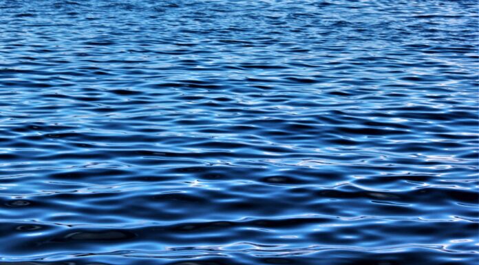 Quanto è profondo il bacino idrico di Richland-Chambers in Texas?
