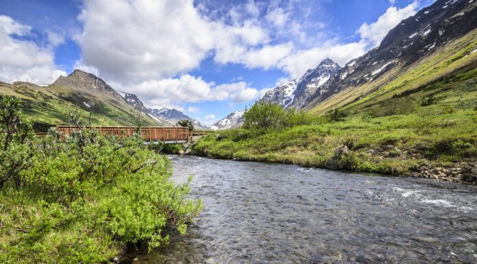 Scopri il parco cittadino più grande degli Stati Uniti (oltre 500 volte più grande di Central Park)

