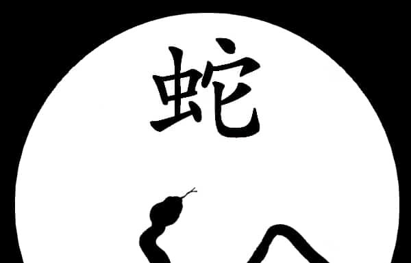 Anno del serpente: significato e anni dello zodiaco cinese
