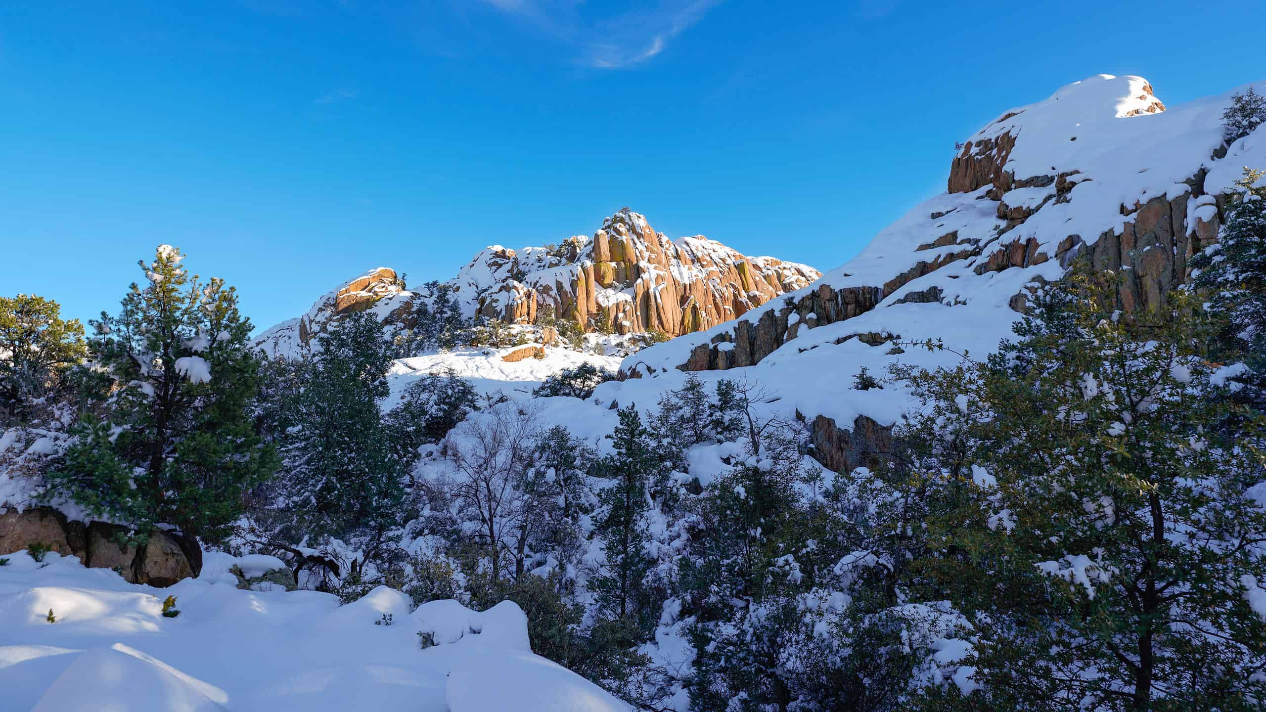 Come si confronta questo inverno con il più freddo di sempre in Arizona?