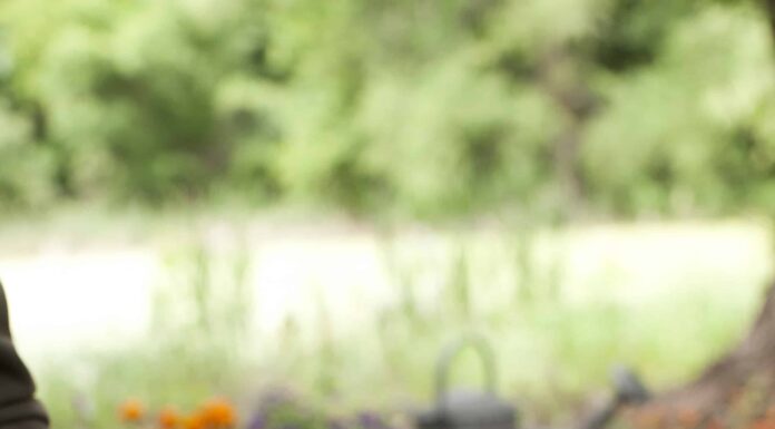 Cosa devono sapere i giardinieri dell'Idaho questa primavera
