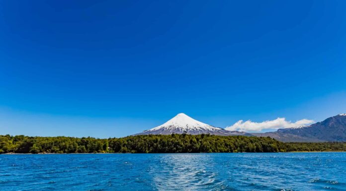 Guarda questo audace kayak da brivido giù per una montagna innevata a oltre 60 MPH!
