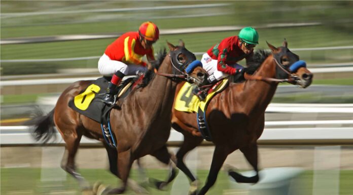 Guarda un cavallo da corsa perdere il suo fantino e riuscire comunque a vincere la gara!
