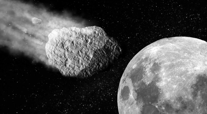 Il più grande asteroide che ha colpito la Terra
