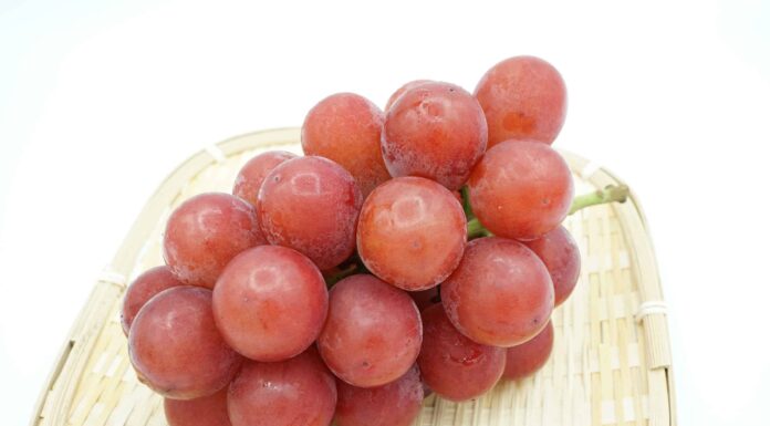  Pagheresti $ 460 per un singolo chicco d'uva?  Qualcuno l'ha fatto
