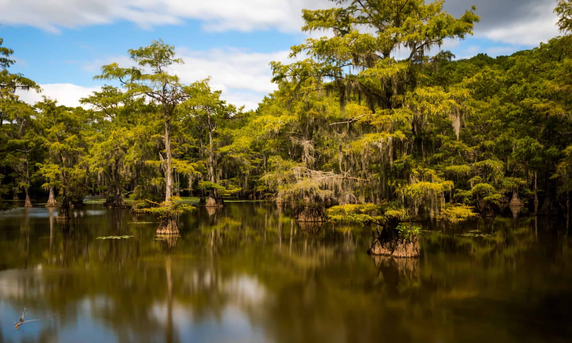 Caddo Lake