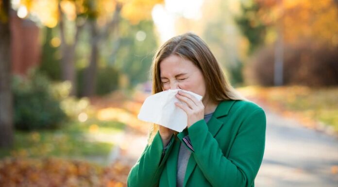 Stagione allergica del Michigan: picco, tempistica e sintomi
