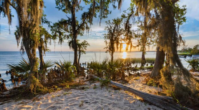 Scopri i 7 Stati più caldi di marzo
