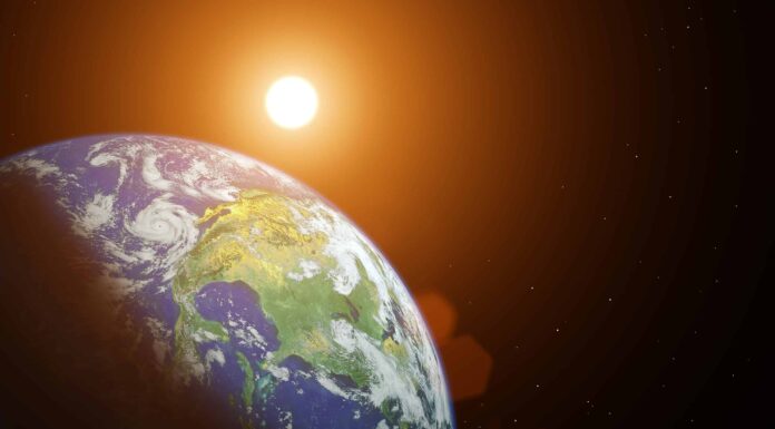 Scopri l'animale terrestre più profondo mai trovato sulla Terra
