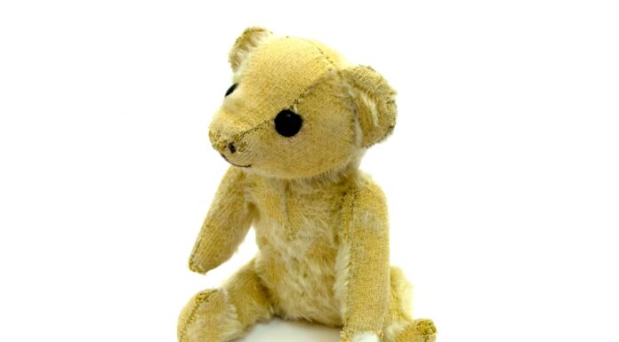 Un orso nero, un presidente degli Stati Uniti e la fondazione di un tesoro americano
