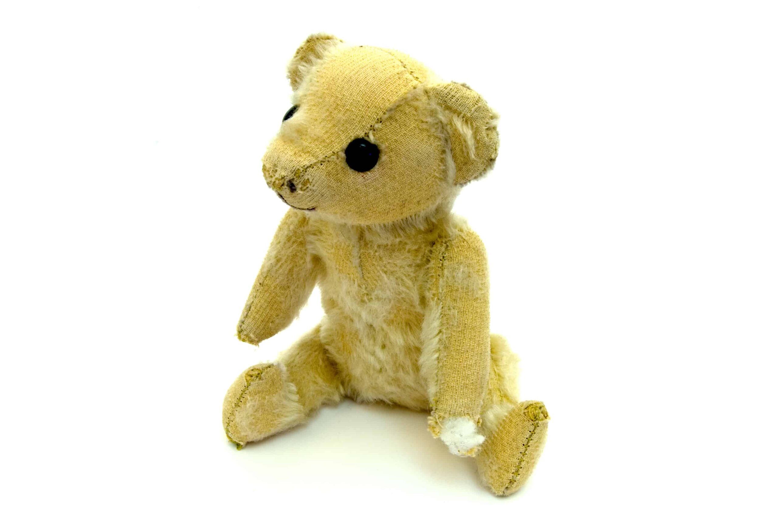 Un orso nero, un presidente degli Stati Uniti e la fondazione di un tesoro americano