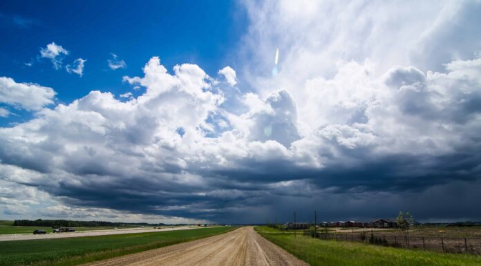 Cosa devono sapere i giardinieri del Kansas questa primavera
