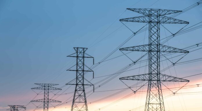 Scopri la più grande centrale nucleare del Texas (e ciò che vive intorno ad essa)
