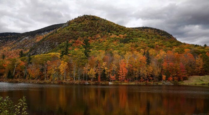 Quali stati sono nel New England?
