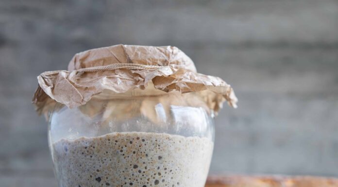 Il lievito madre più antico ancora in uso oggi
