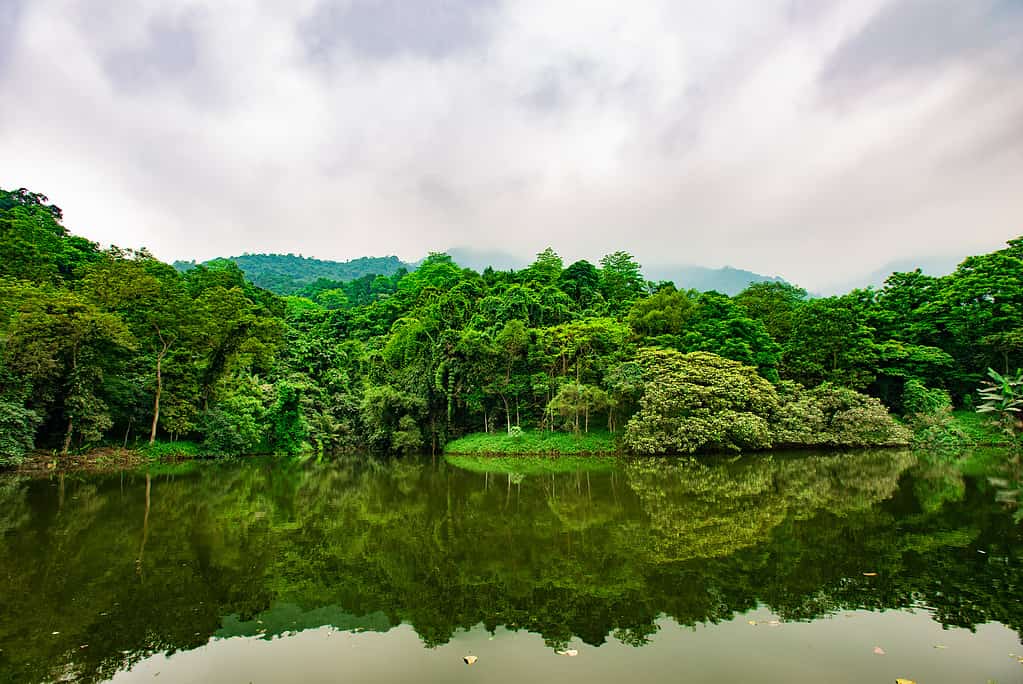 10 bellissimi parchi nazionali in Vietnam