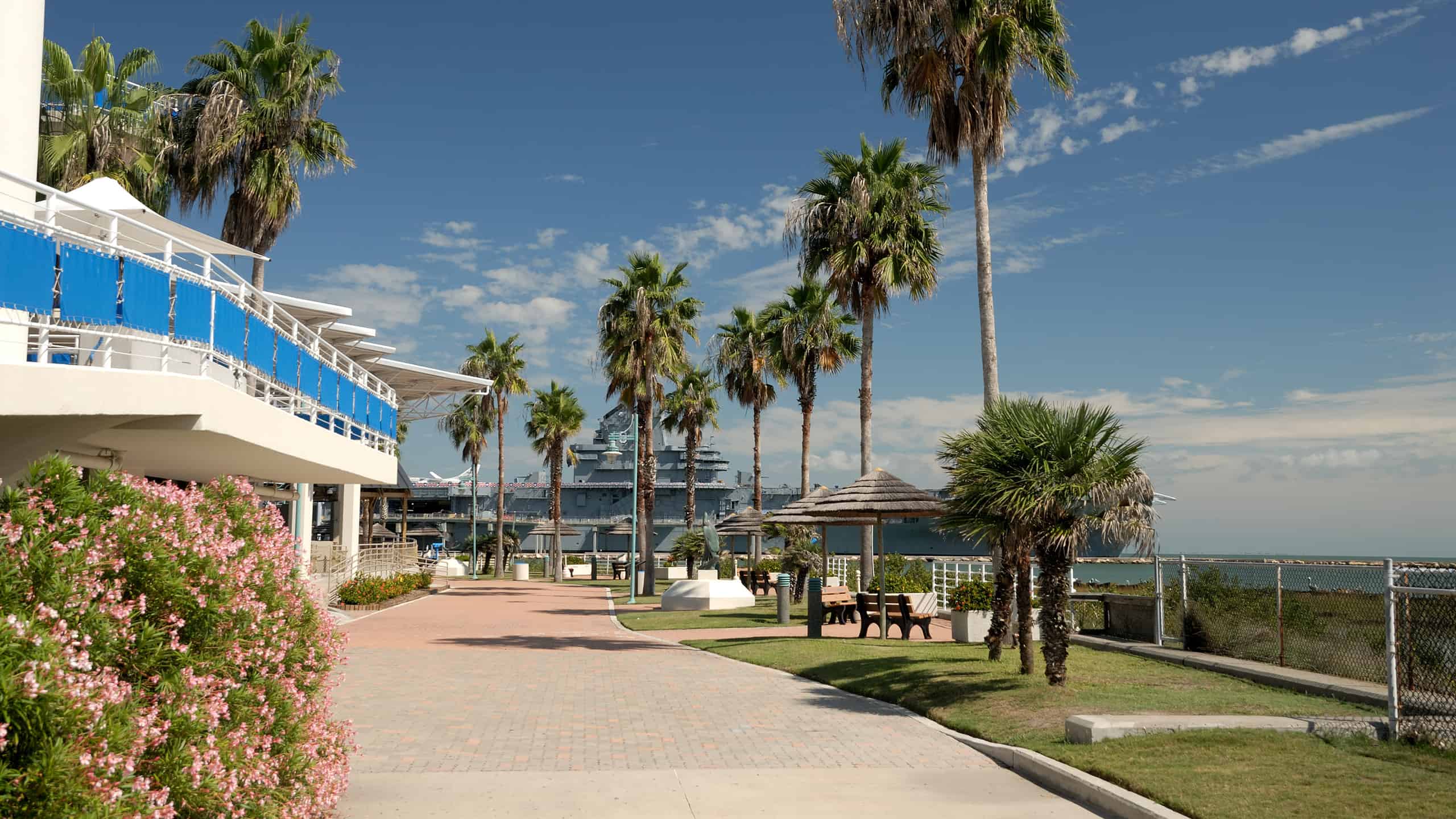 Scopri 10 acquari e zoo con i delfini