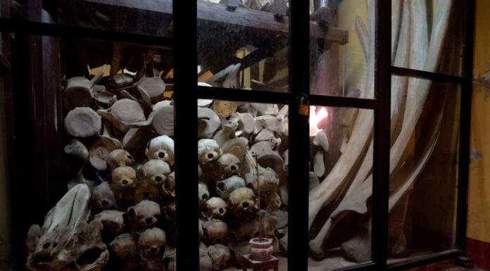 ancient whale temple