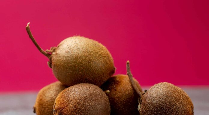Come coltivare il kiwi: la tua guida completa
