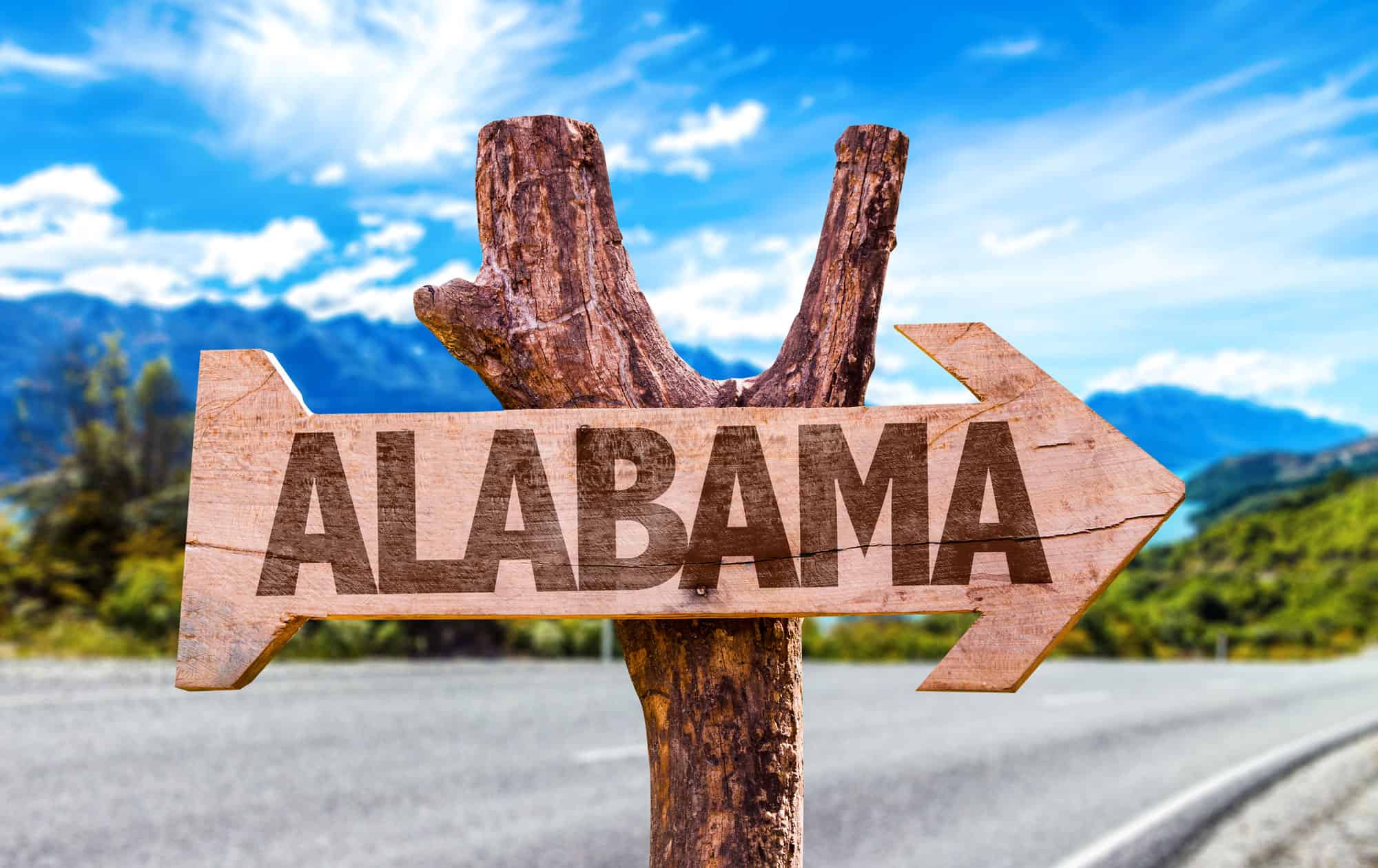 Scopri i 10 animali più veloci in Alabama