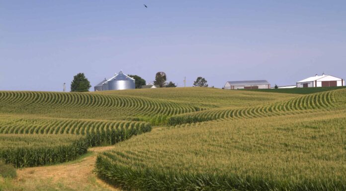 Quali stati sono nel Midwest?
