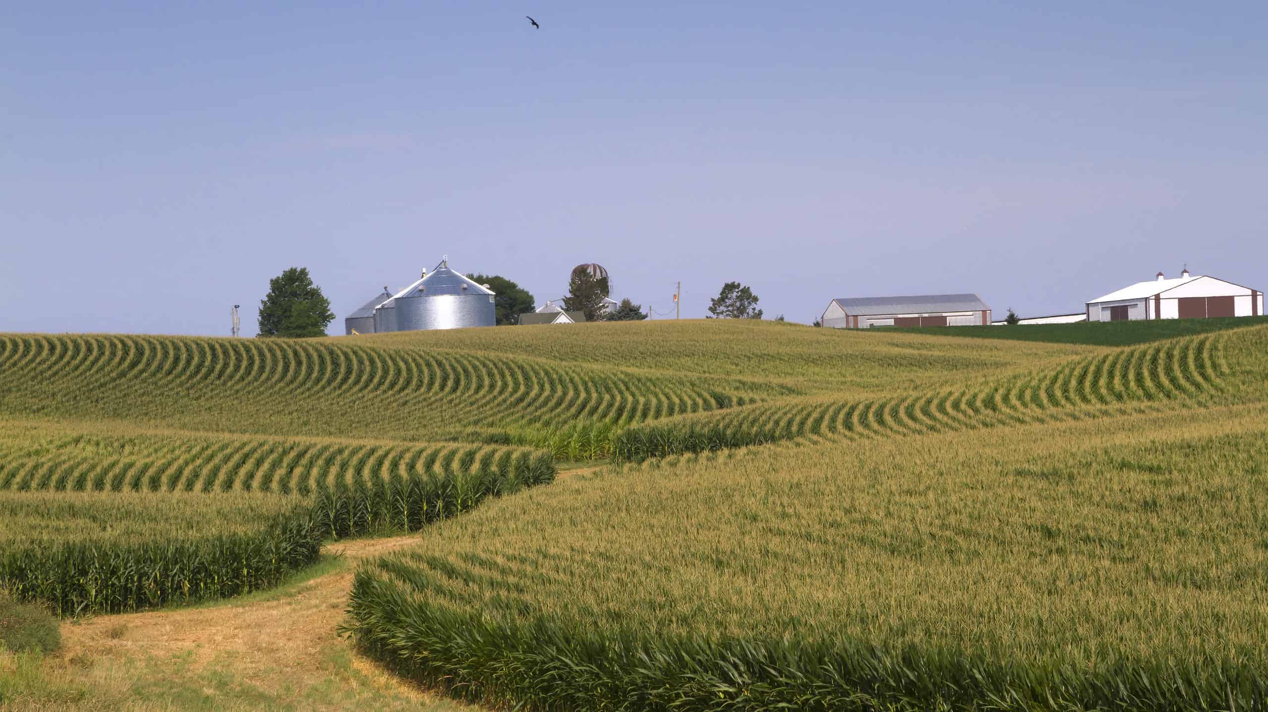 Quali stati sono nel Midwest?
