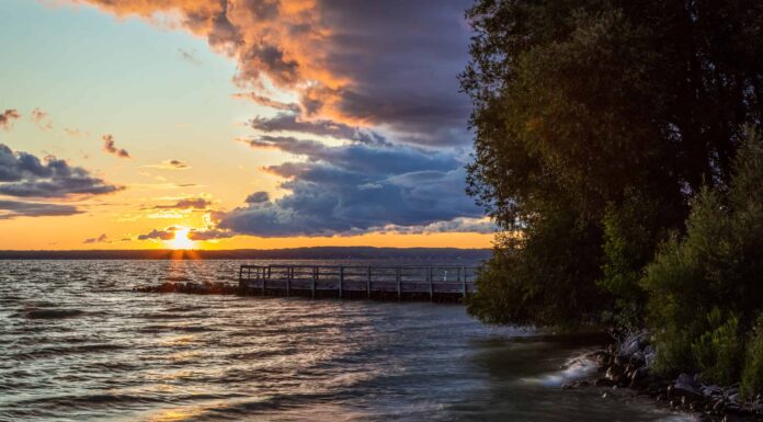 Il pesce più grande mai catturato nel Michigan
