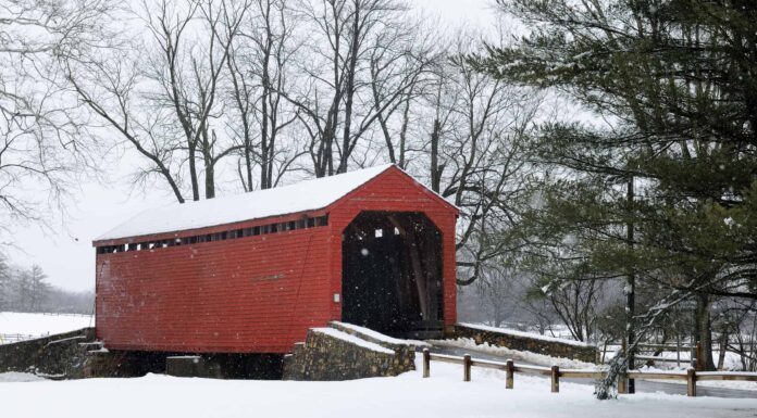 Scopri la più grande tempesta di neve che abbia mai colpito il Maryland a marzo
