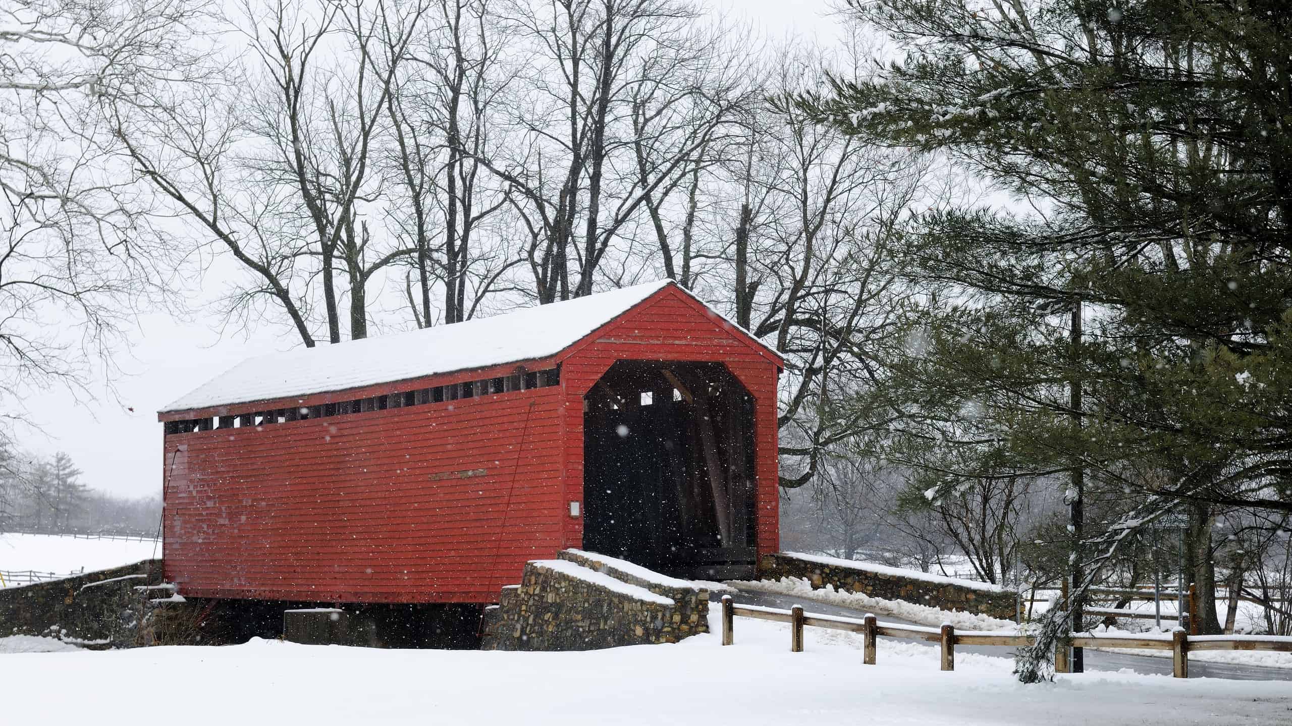 Scopri la più grande tempesta di neve che abbia mai colpito il Maryland a marzo