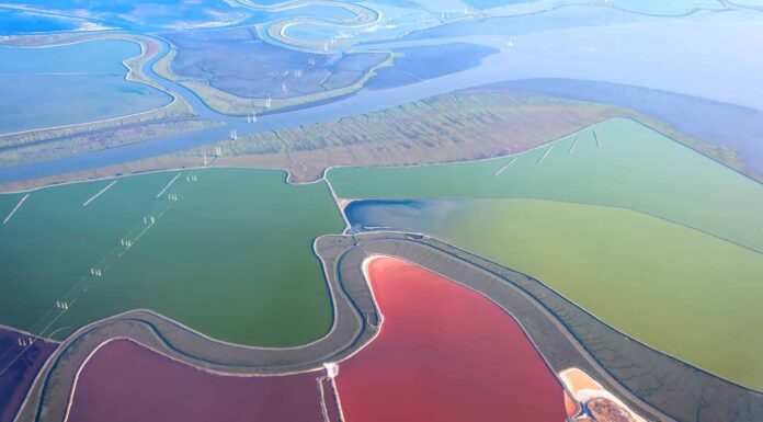 Qual è lo stagno più grande della California
