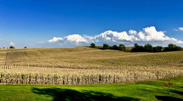 Il punto più alto dell'Iowa è così piatto che probabilmente non te ne accorgeresti nemmeno
