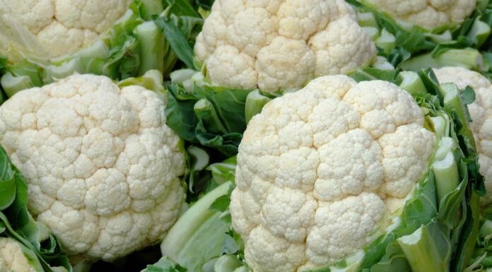 Come coltivare il cavolfiore: la tua guida completa
