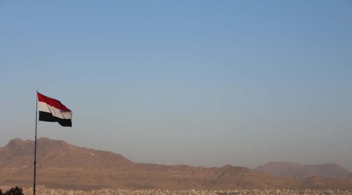 6 incredibili alberi originari dello Yemen
