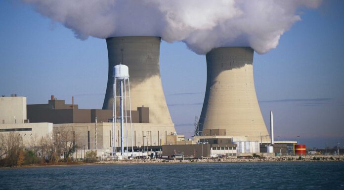 Scopri la più grande centrale nucleare del Michigan (e ciò che vive intorno ad essa)
