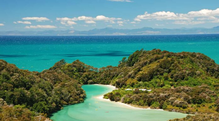 Tsunami in Nuova Zelanda: fatti, rischi e come prepararsi
