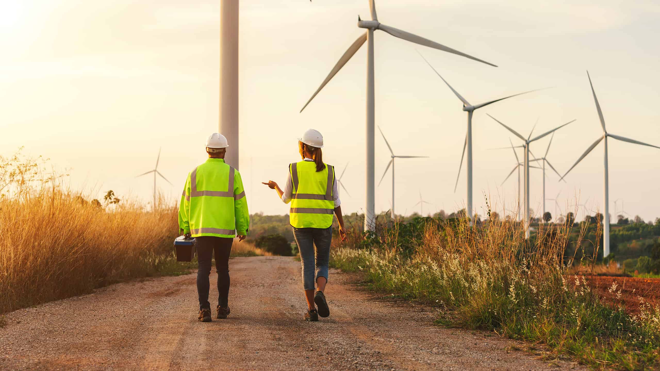Scopri i 10 parchi eolici più grandi degli Stati Uniti: qualcuno è vicino a te?