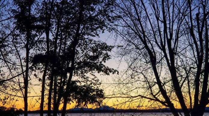 Lago Champlain Pesca, dimensioni, profondità e altro ancora
