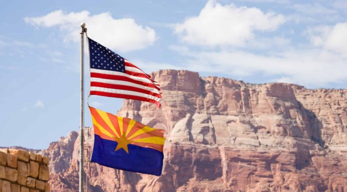 Scopri i 5 animali più grandi dell'Arizona e dove li troverai
