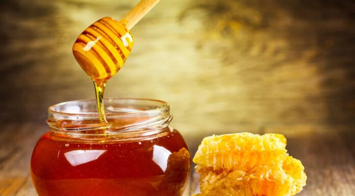 Scopri il miele più antico mai trovato (dalla tomba di Tutankhamon?)
