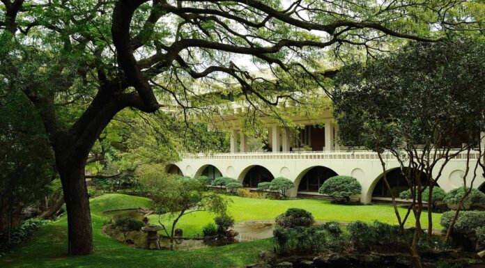 Il campus universitario più bello delle Hawaii è immerso in un paradiso tropicale
