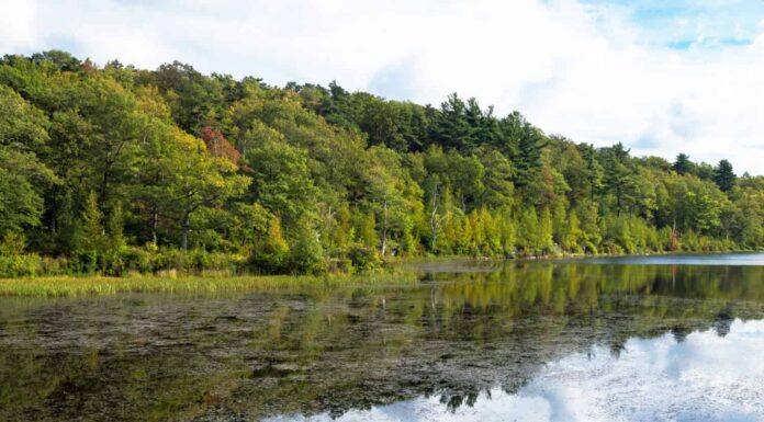 I 6 migliori laghi del New Jersey per nuotare
