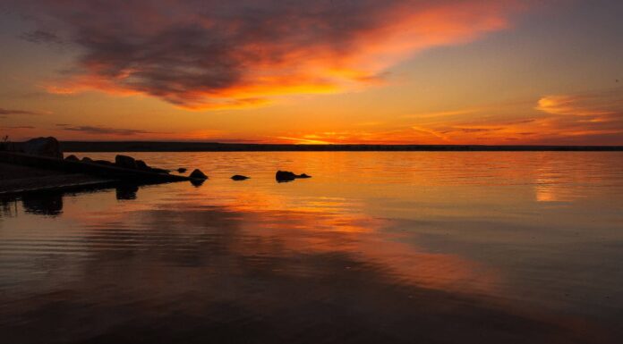 I 5 migliori laghi del Wyoming per nuotare
