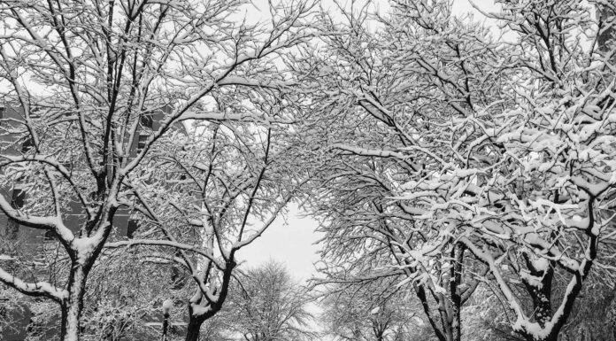 La più grande tempesta di neve che abbia mai colpito il Nebraska nel mese di aprile
