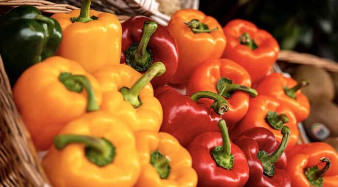 7 diversi tipi di peperoni colorati
