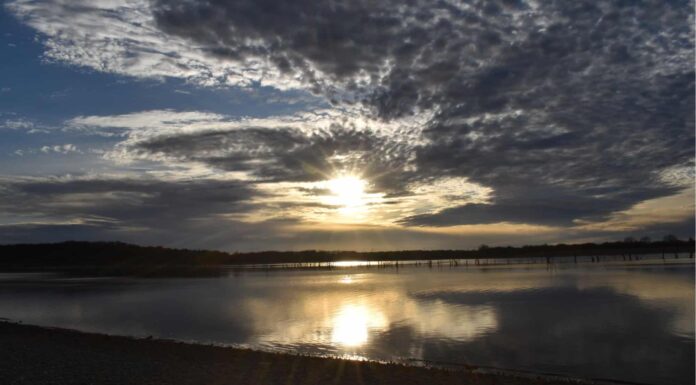 Nuotare vicino a Fort Worth: tutti i posti migliori

