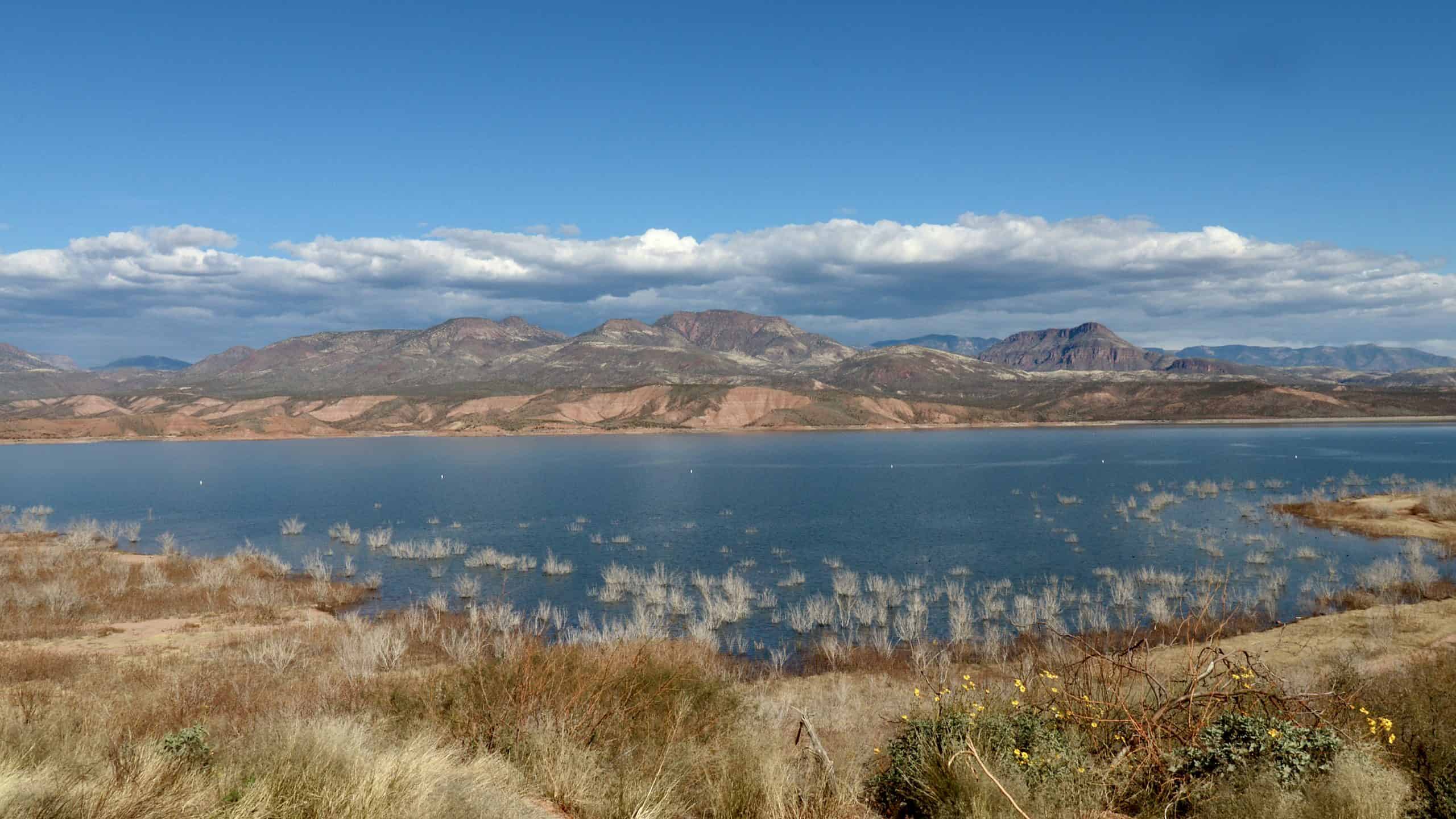 Scopri il ponte più lungo dell'Arizona: un colosso di 2.199 piedi